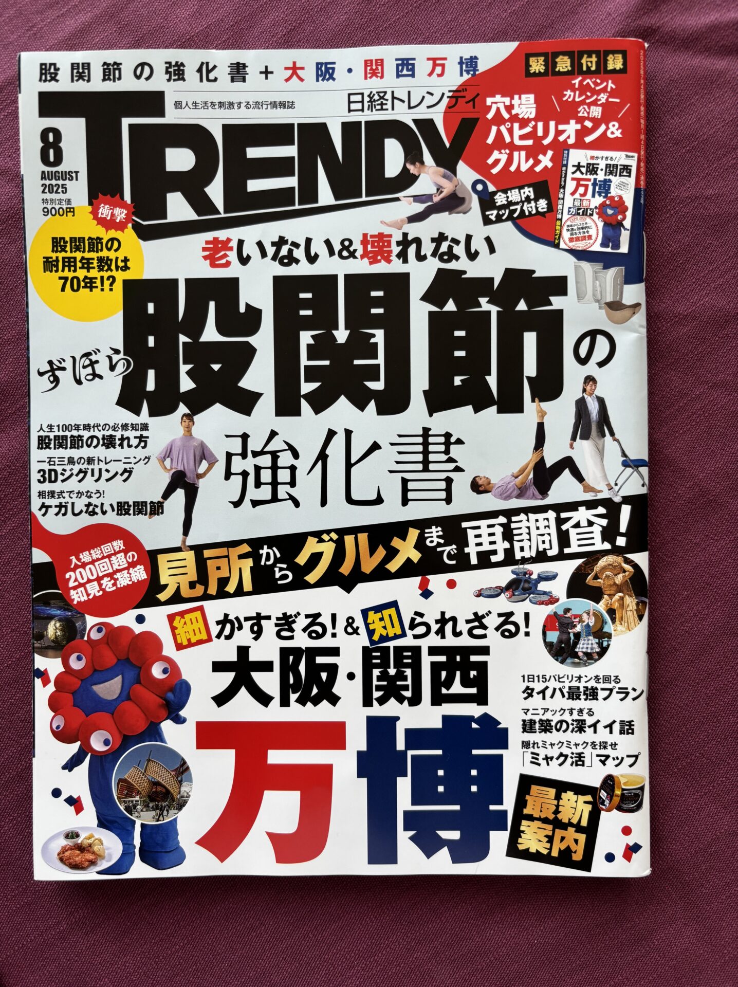 メディア掲載 No.3